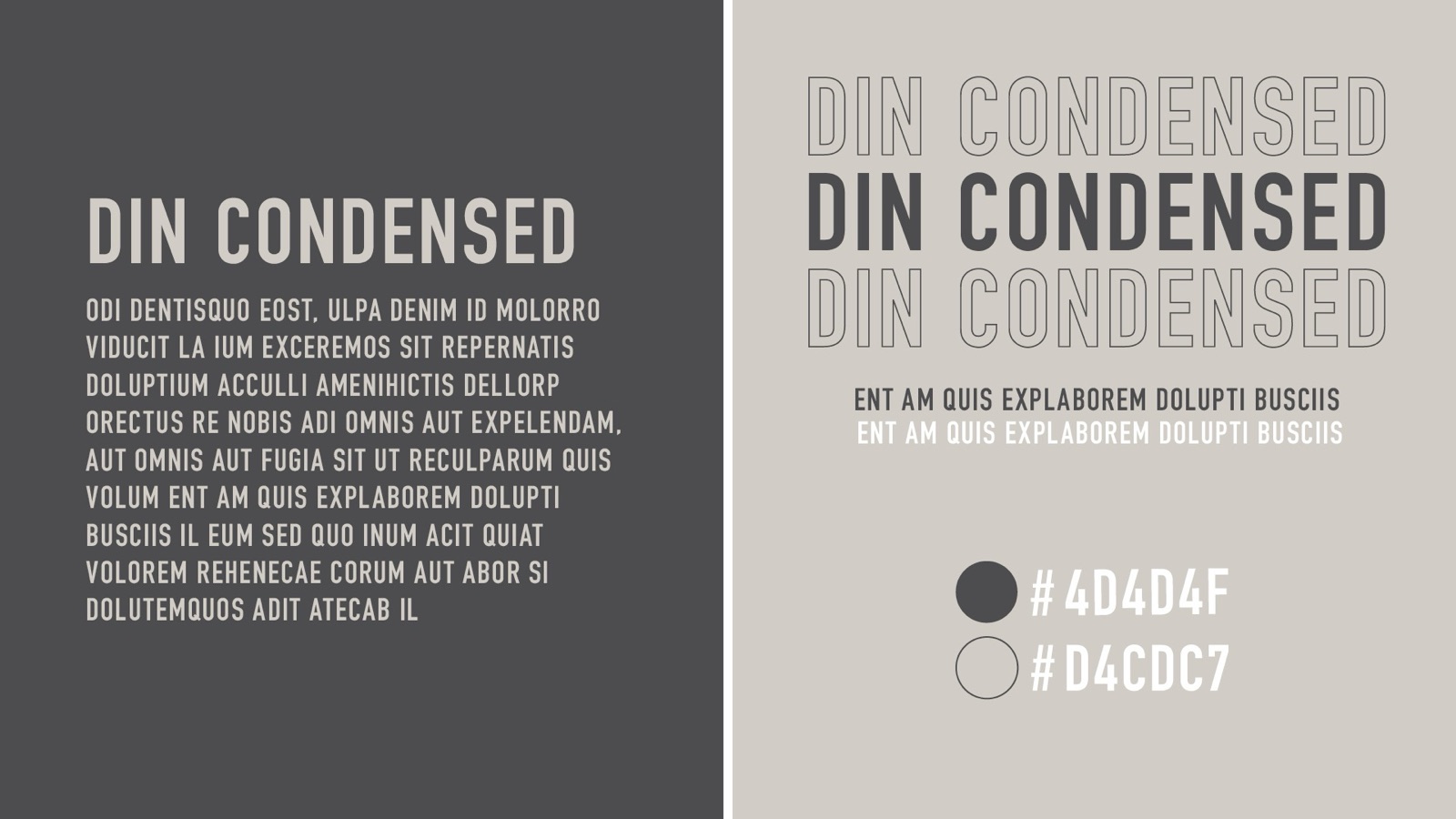 Tilly Blair Photography brand guide — DIN Condensed type and colour palette.