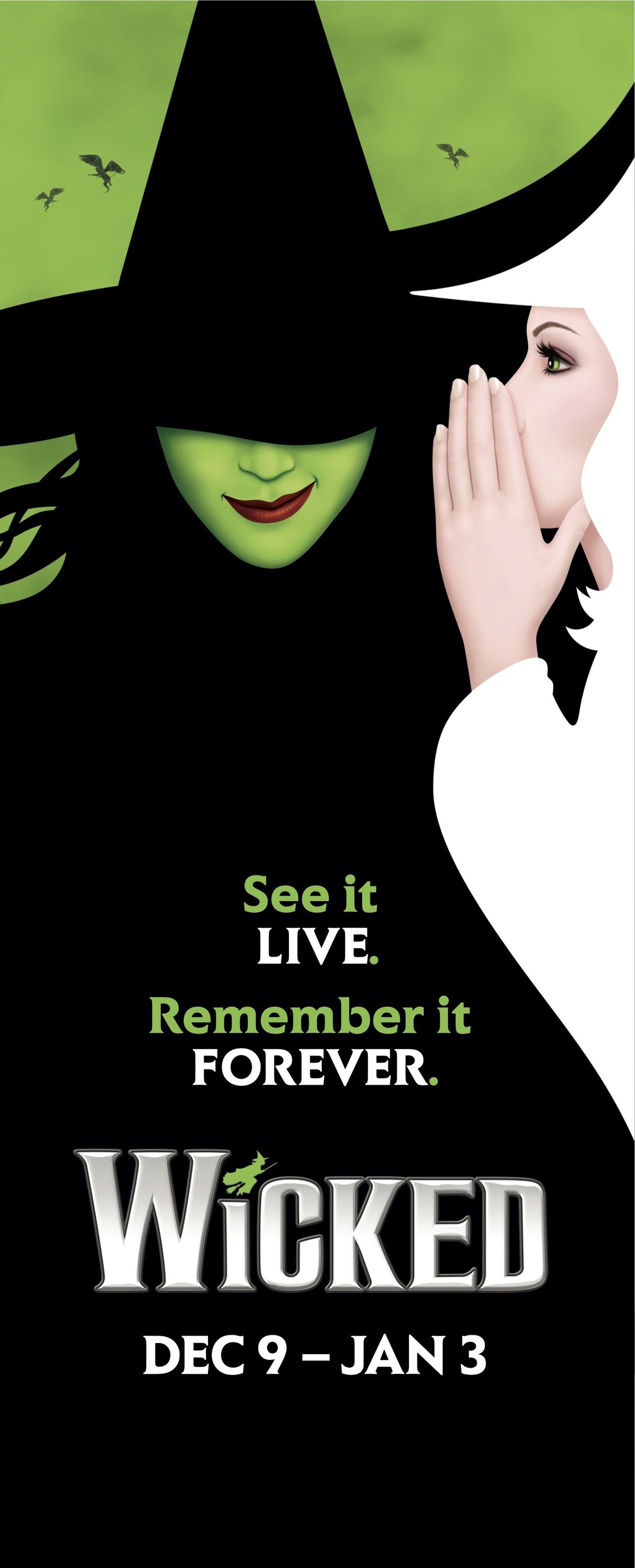 Wicked pole banner for the Cleveland tour stop — the witch silhouette, See it LIVE. Remember it FOREVER., and the Dec 9 to Jan 3 dates.